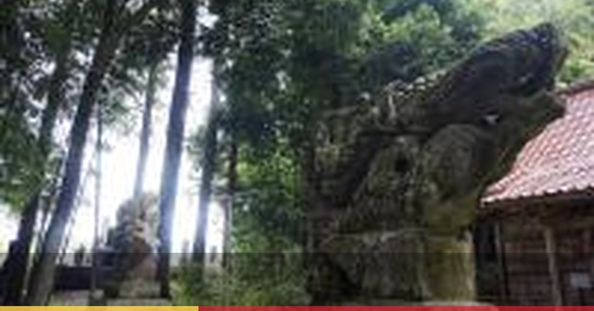 白河市内の狛犬巡り。神社仏閣をタクシーで効率よく巡る3時間コース